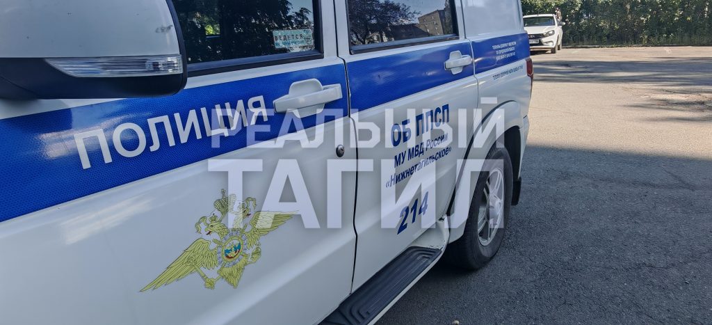 полиция МВД менты мусора ДПС ГИБДД ГАИ