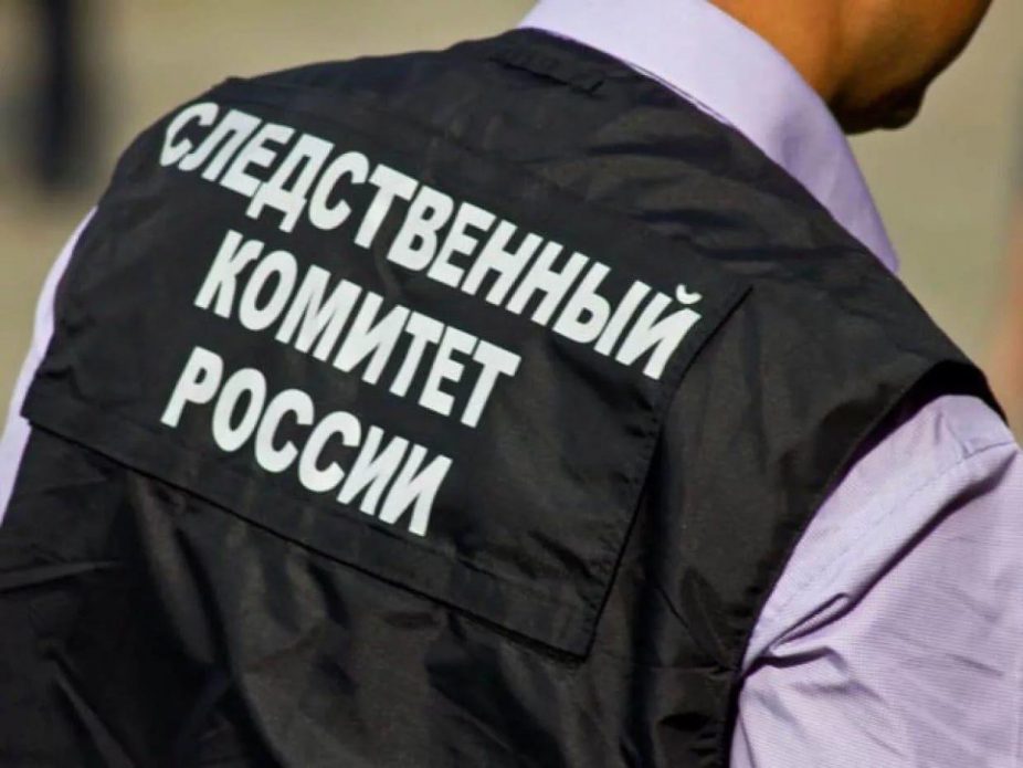 СКР взял на контроль дело о нападении в подмосковной школе со смертельным исходом -
