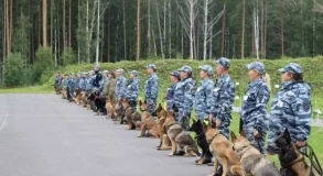 Десять ведомств и более 35 служебных собак: в Екатеринбурге пройдёт турнир кинологов по поиску оружия и наркотиков