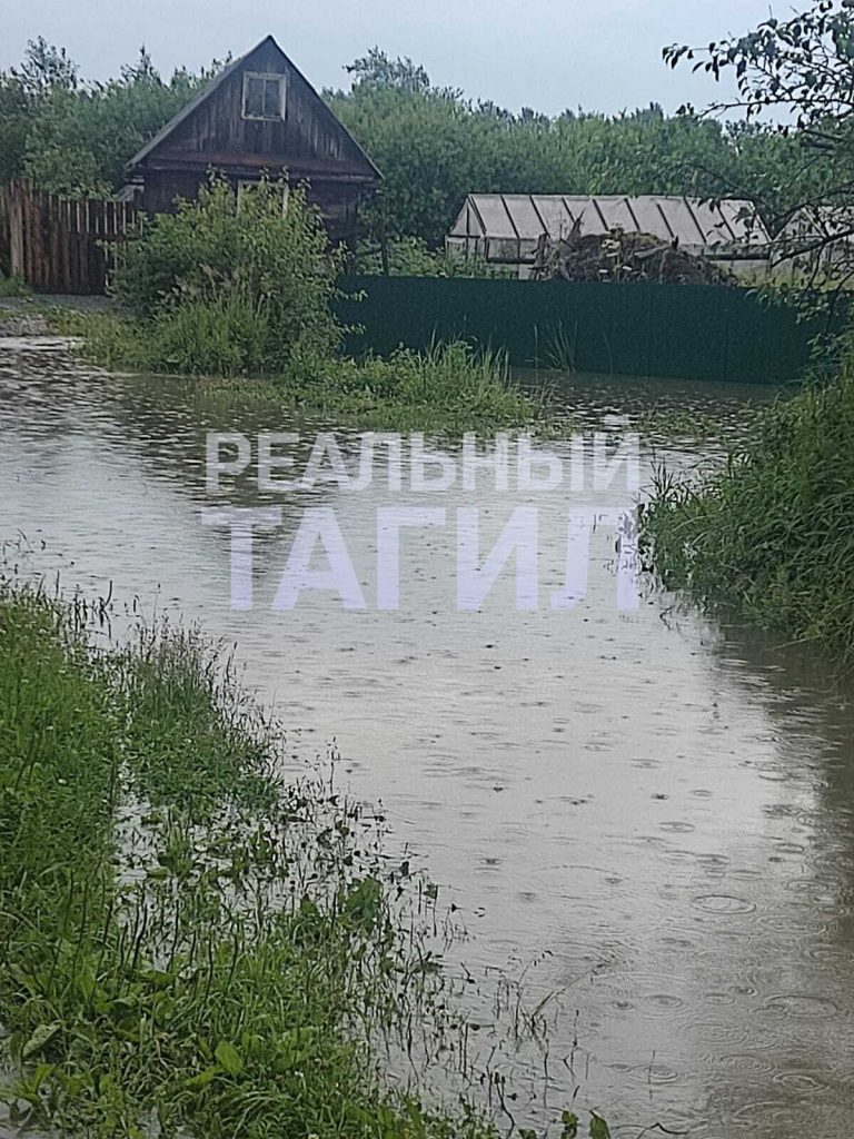 тагил потоп Прокурор